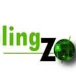 Coolkingzone com: Why This Multi-Topic Digital Platform Is Getting Attention Online